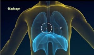 How to Sing-Breath with Diaphragm the muscle just below the lungs