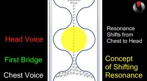 Singing Lesson - What is a Vocal Bridge? A Passageway for resonance.