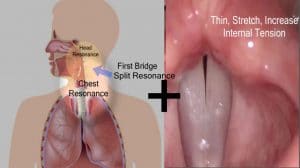 Singing Lesson - What is a Vocal Bridge? A mix of chest and head voice and cord adjustments in the bridge.